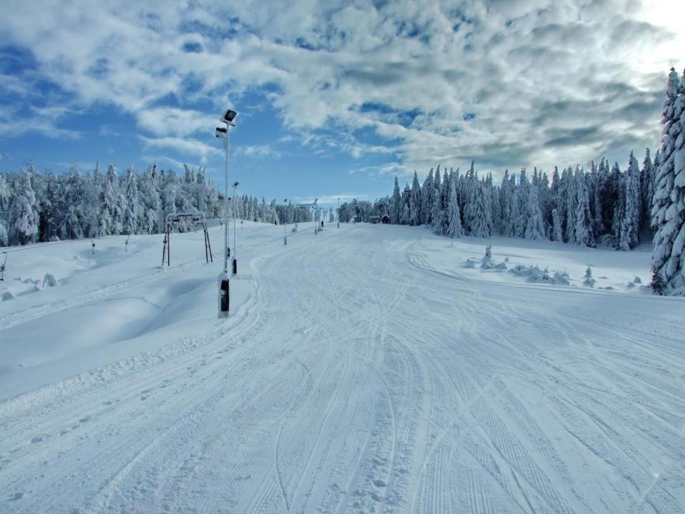 Hotel Superski Cavnic Exteriör bild